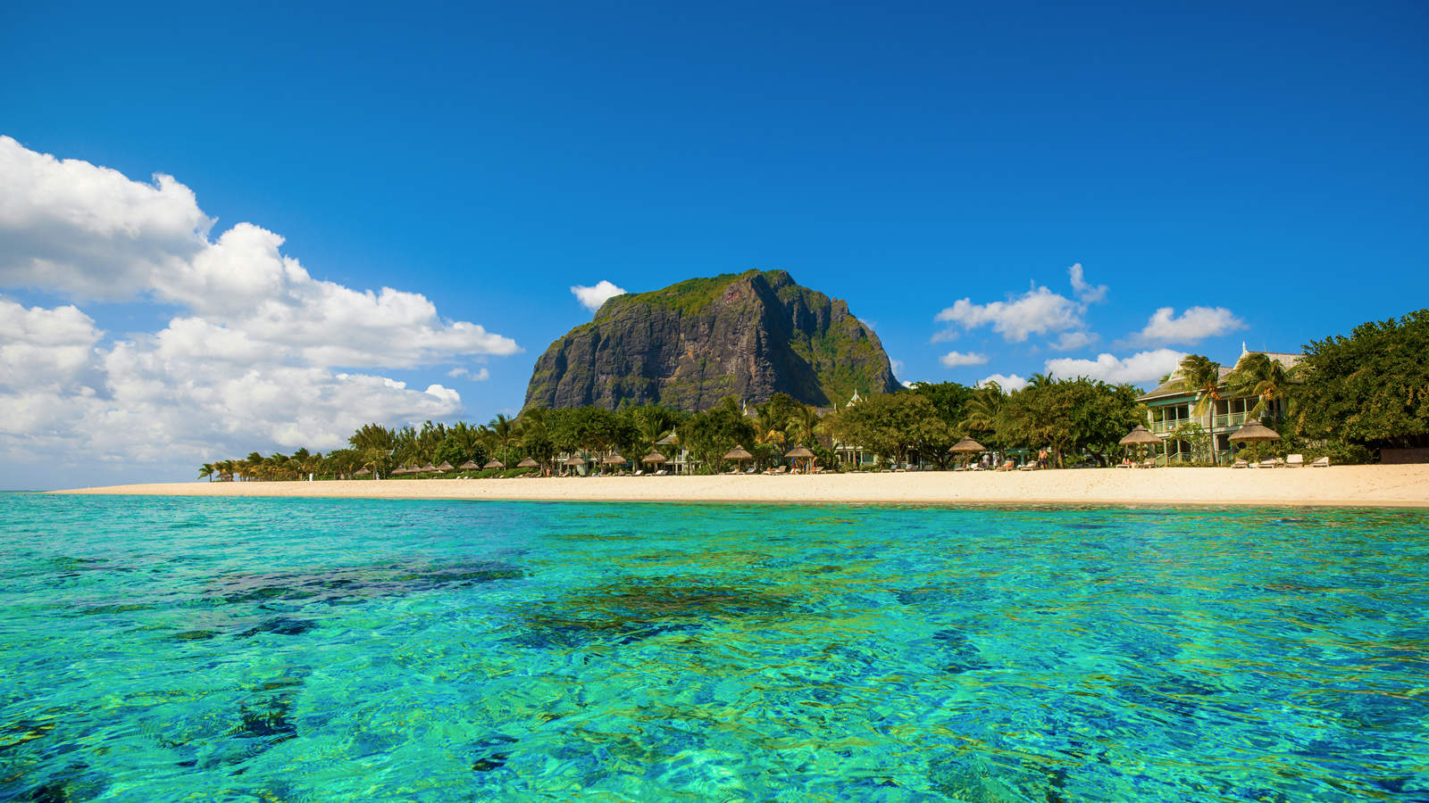 Le Morne aranžmani cene